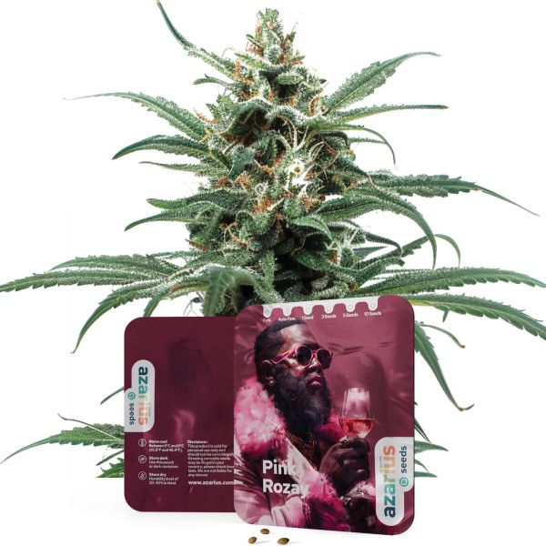 Pink Rozay Auto | Cannabis Seeds by Azarius