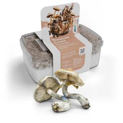 Treasure Coast Magic Mushroom Grow Kit | Azarius